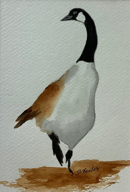 Freddy the Canada Goose 8x10" image 0