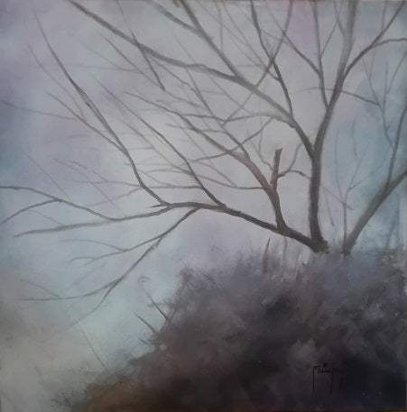 Morning Mist image 0