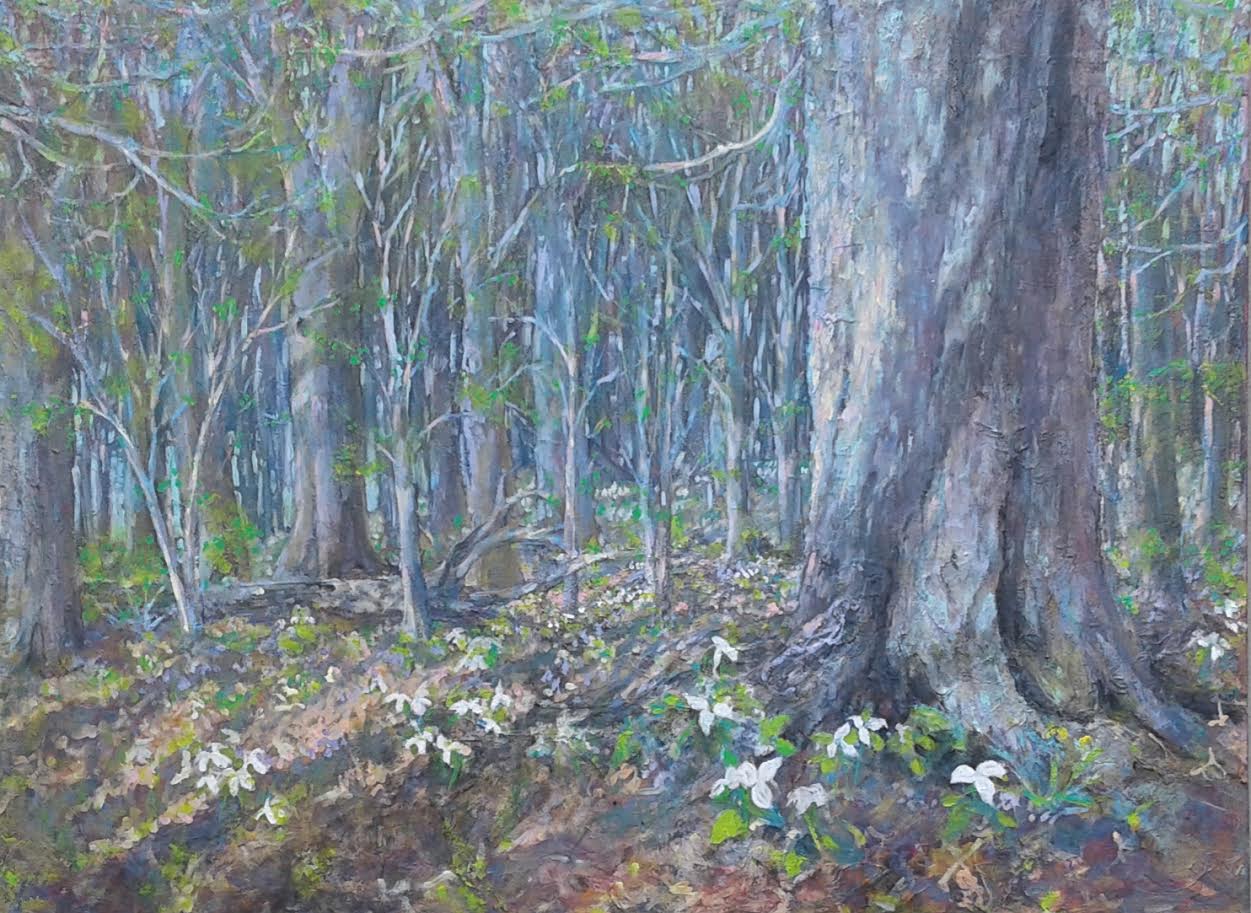 Spring Woods-40" x 30" image 0