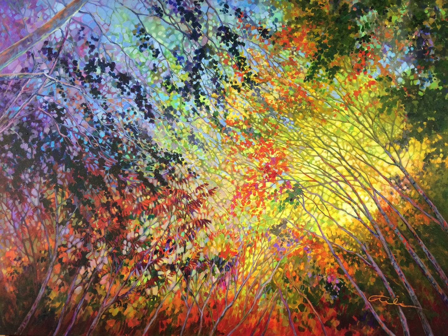 Forest Echo image 0