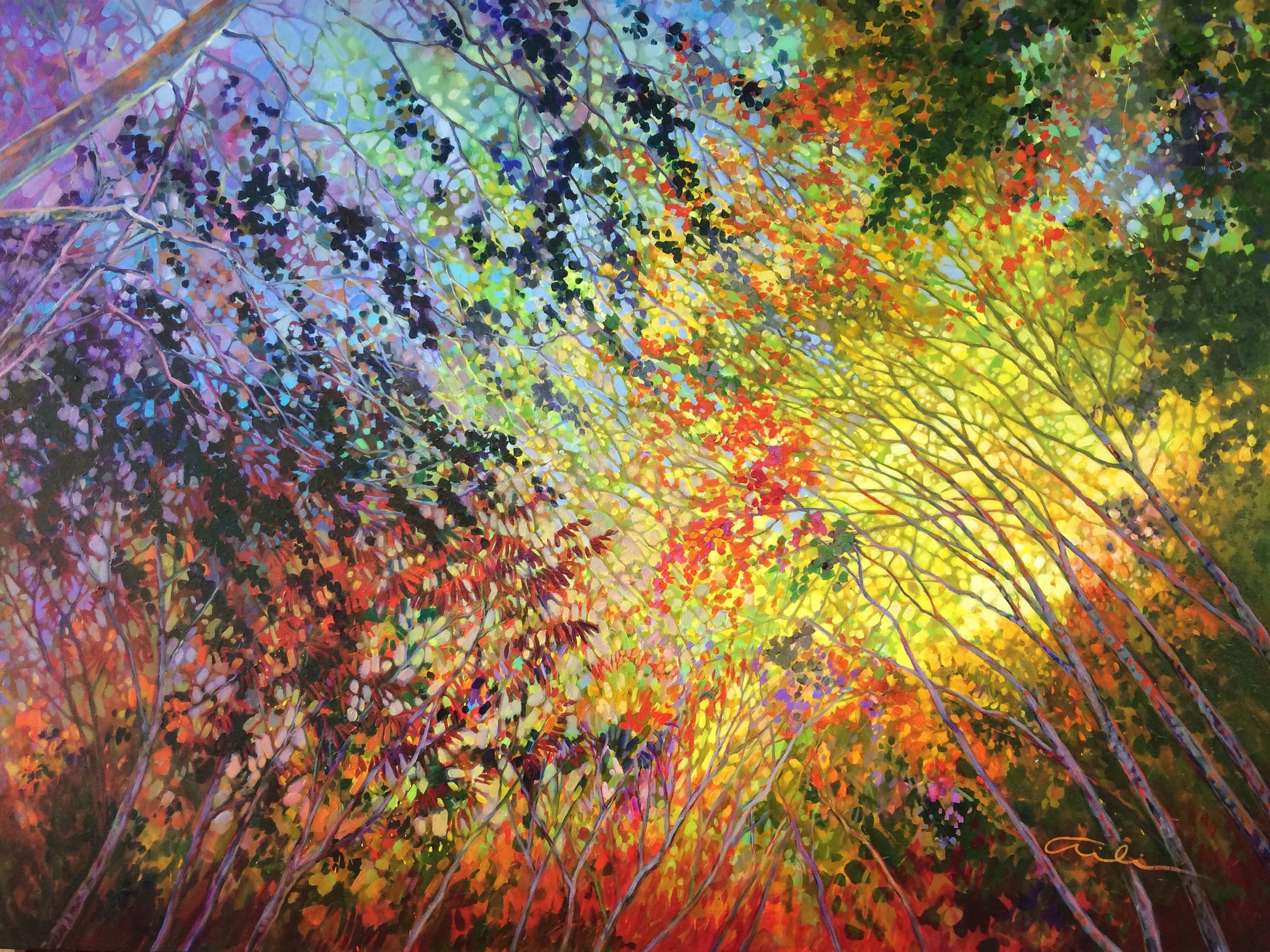 Forest Echo image 0