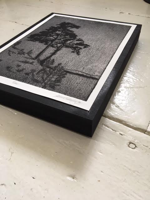 Pines image 1