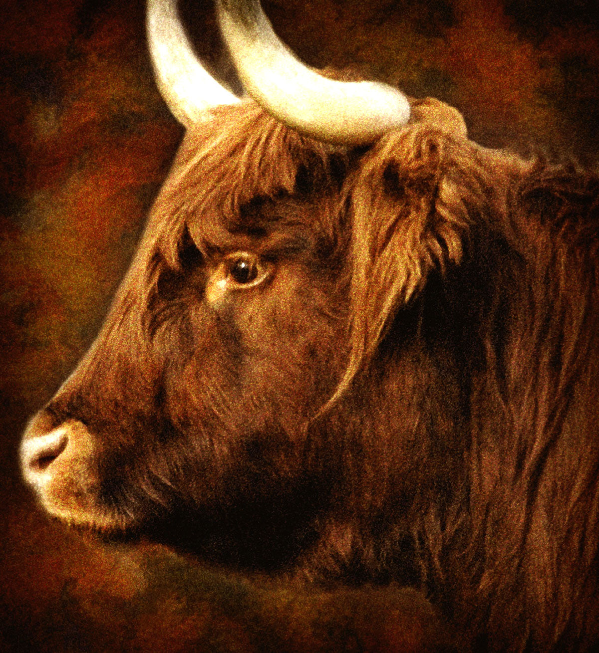 The Highlander, Edition #4 of 20 11x12" image 0