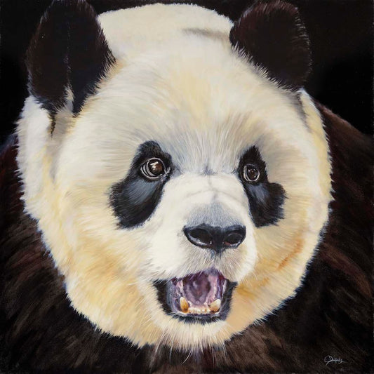 MO 36" x 36" image 0