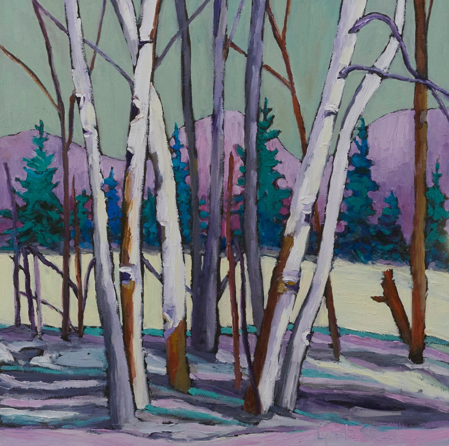 Birch Trees in Winter White, Collection 4,  20x20" image 0