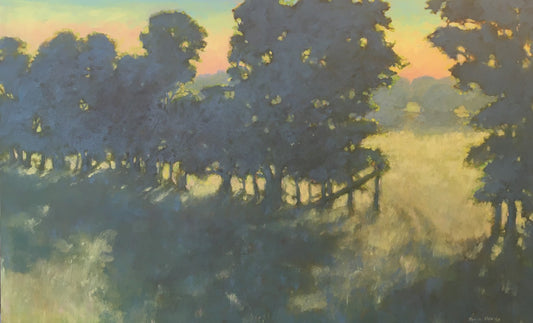 Sun Spots, 30x48” image 0