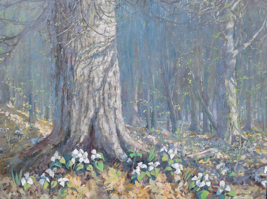 Trillium Woods-40" x 30" image 0