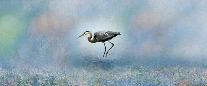 Heron in Pastel. , Edition #3 of 25 12x5" image 0