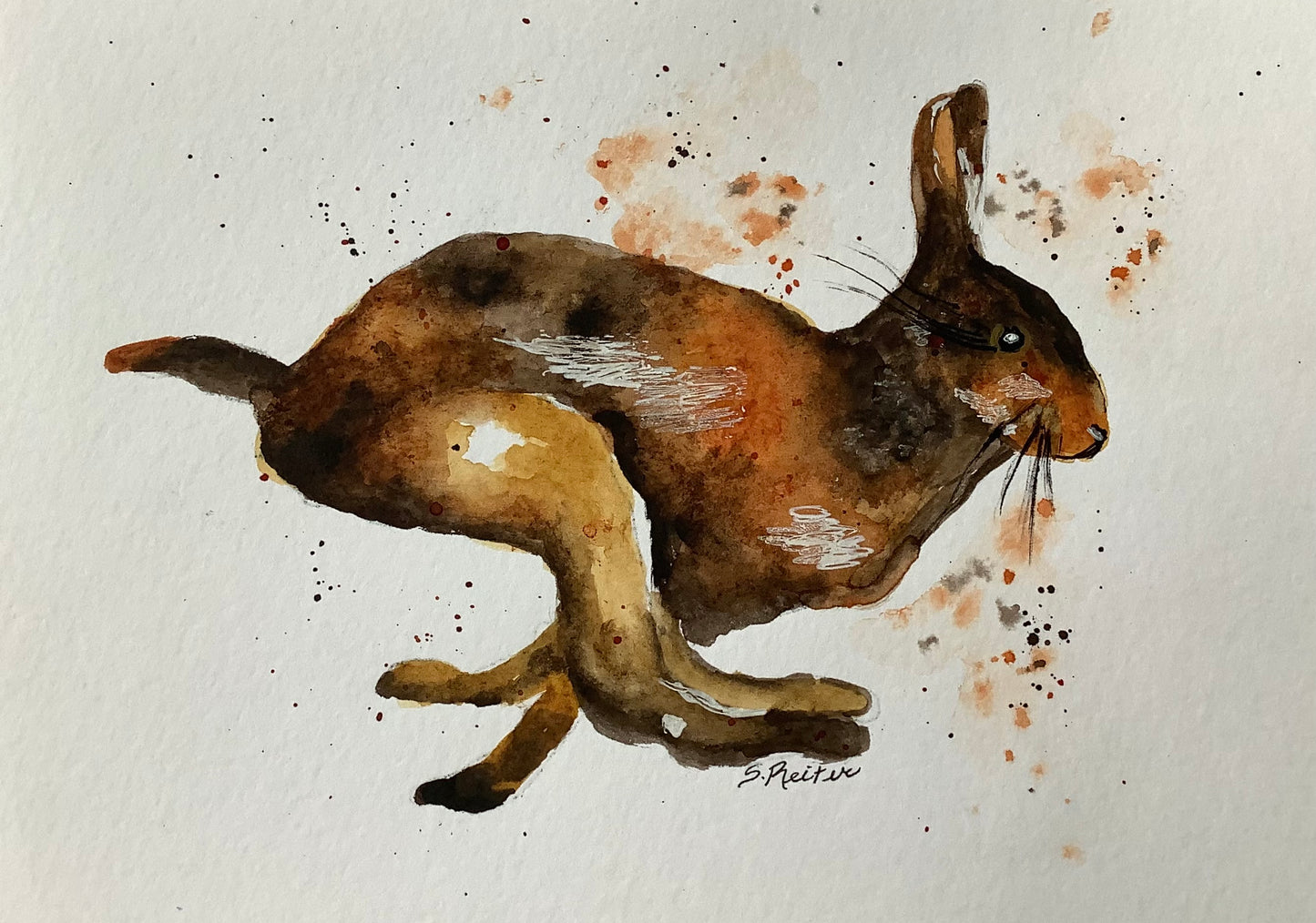 Boundless Freedom, 8x10"