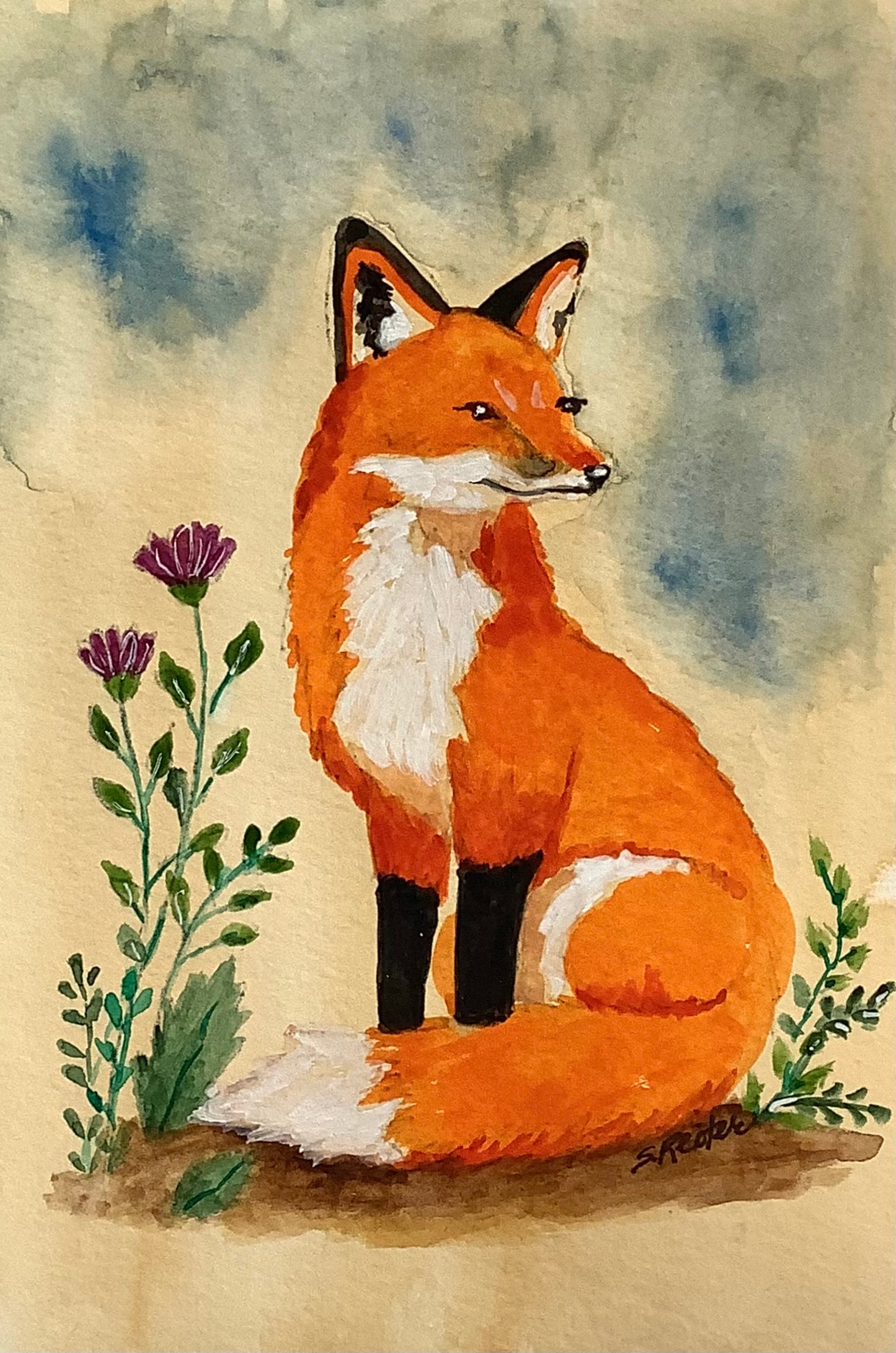 Cinnamon, 8x10"