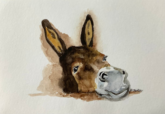 Dino The Donkey, 8x10