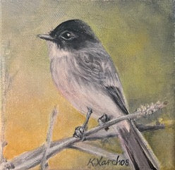 Eastern Phoebe, 5x5