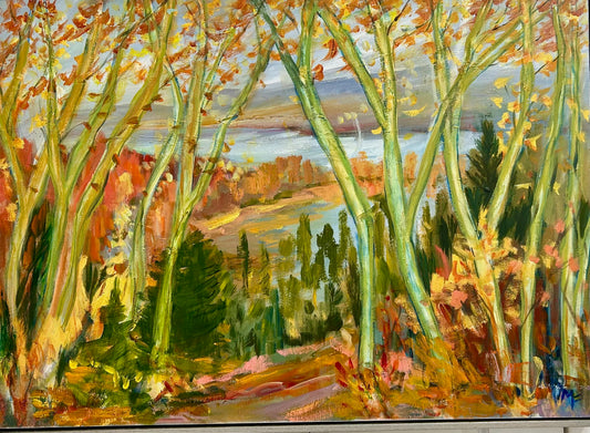 Fall Vista - Calabogie