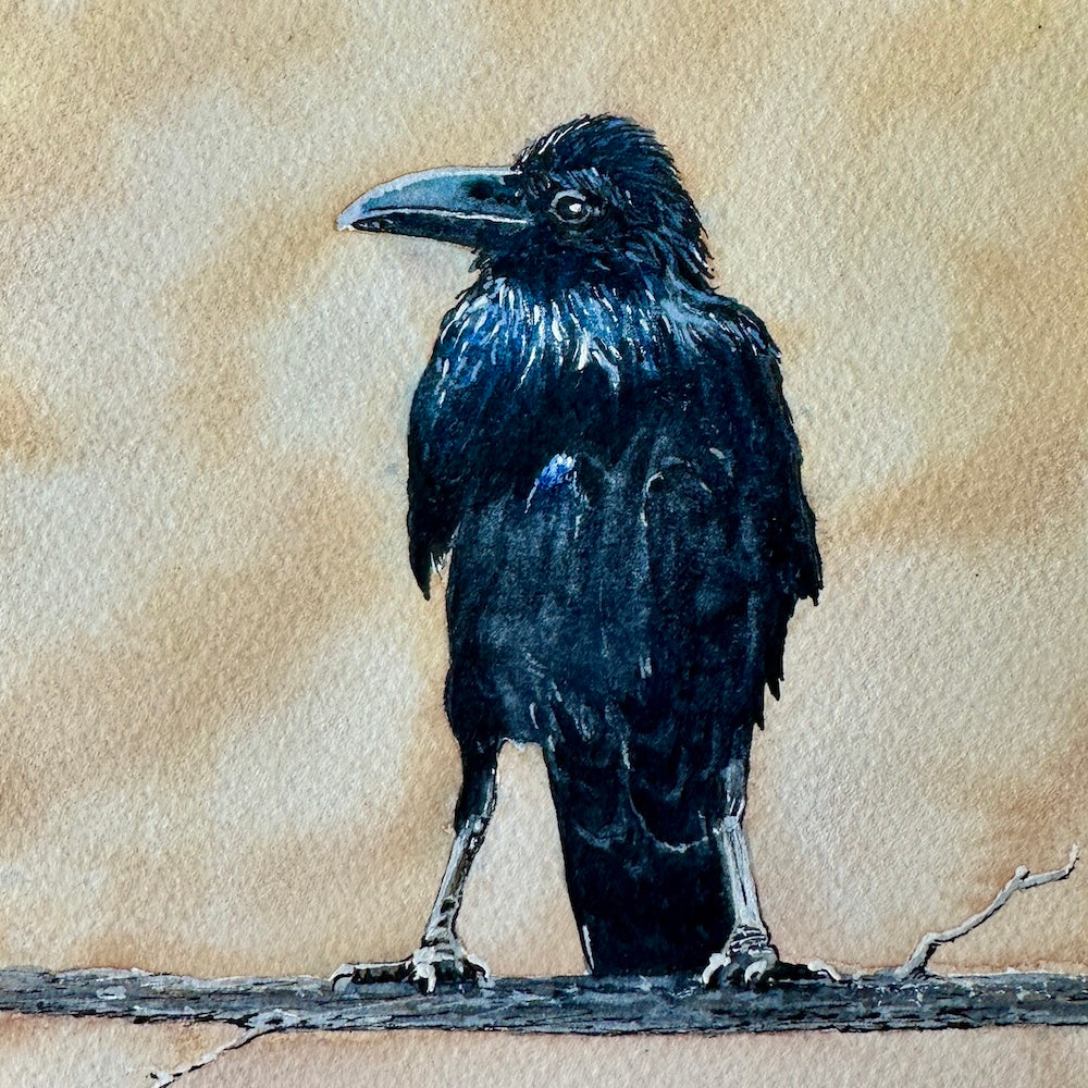 Showing Leg, 5x5"