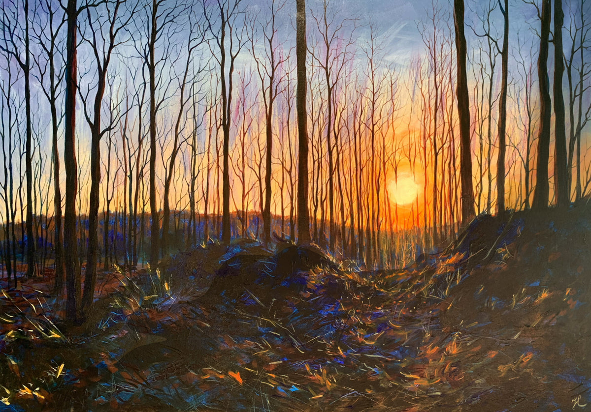 Sunset, Hilton Falls, 24x36"