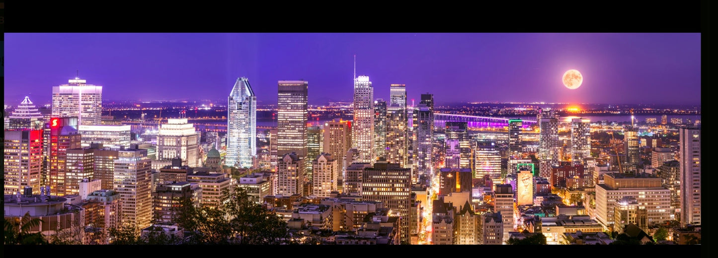 The city that never sleeps 26"x 46"