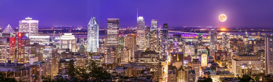 The city that never sleeps  26" x 46"