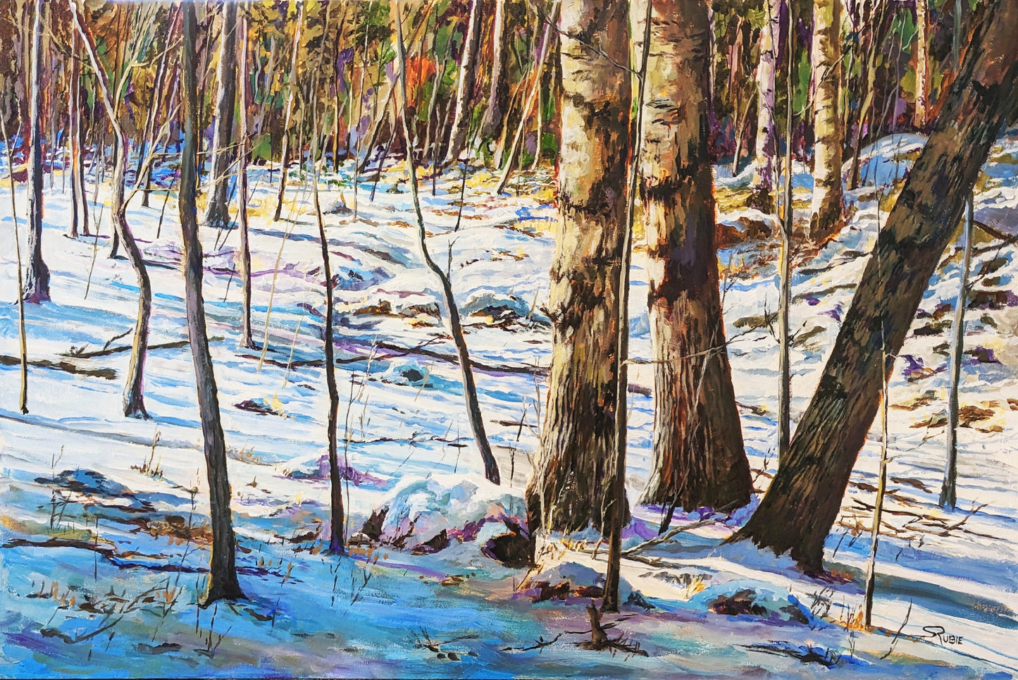 Three Poplars in Sunlit Snow, 24x36