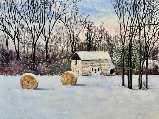 Whispers Of Dawn, 12x16