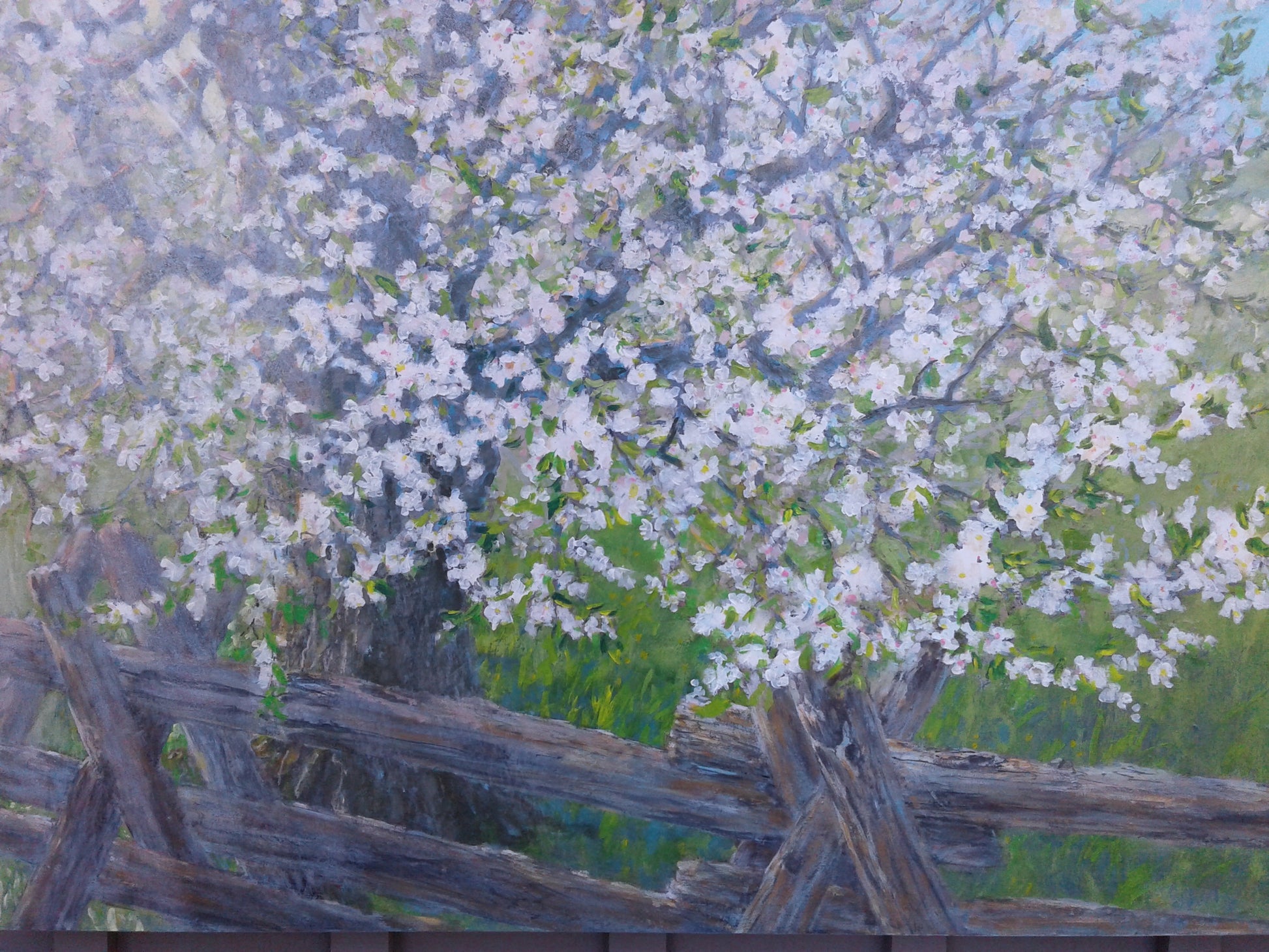 Sun& Blossoms 36x48" image 0