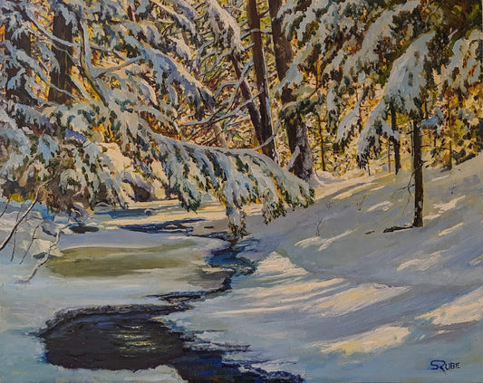 Fallingbrook Winter Sun 16x20" image 0