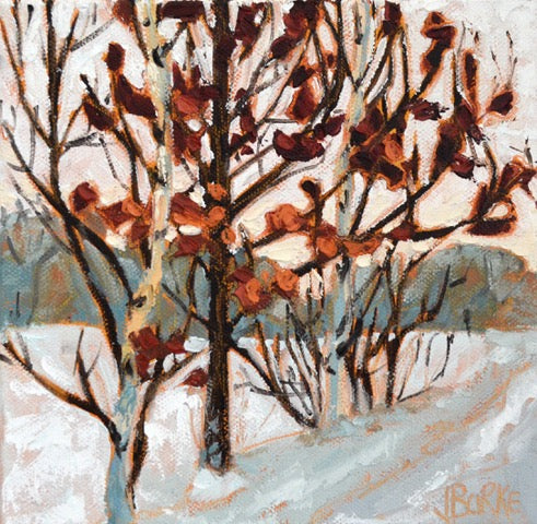Soft Grey Day image 0