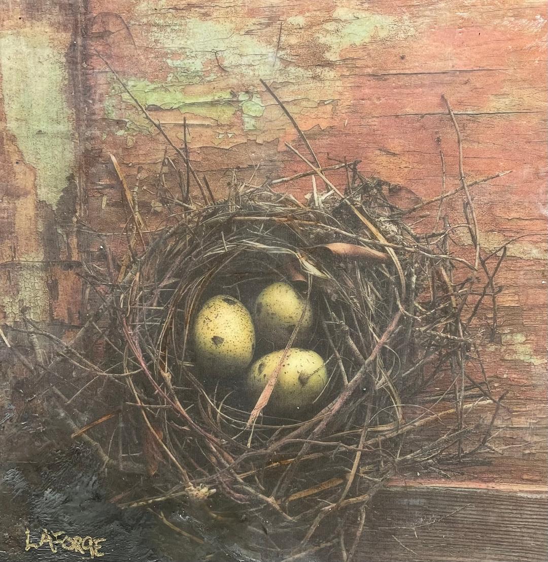 Finding a Nest in the Barn  10x10 image 0