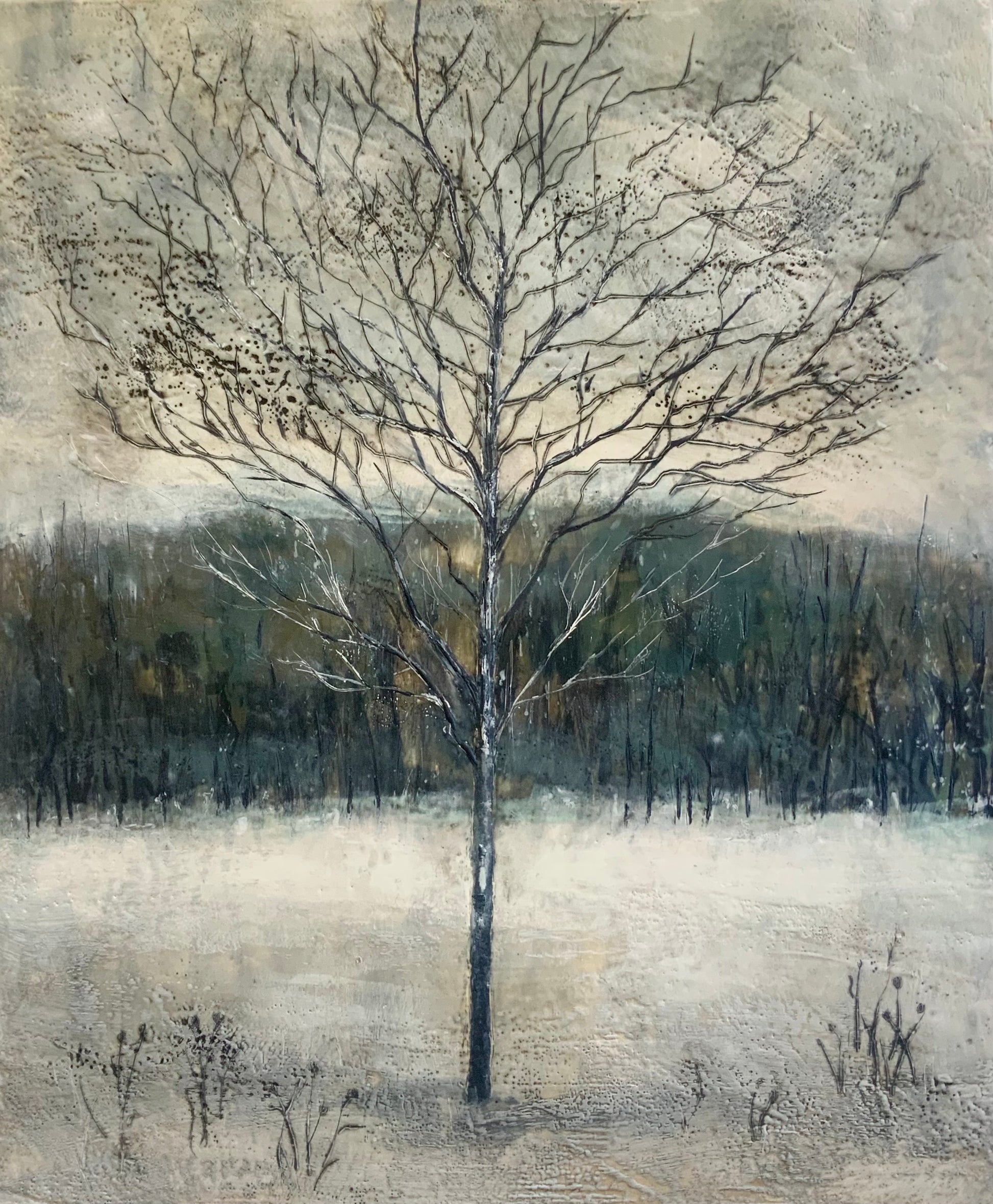 Midwinter Light 20H x 24W image 0