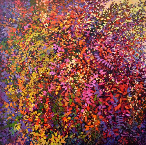 Profusion image 0
