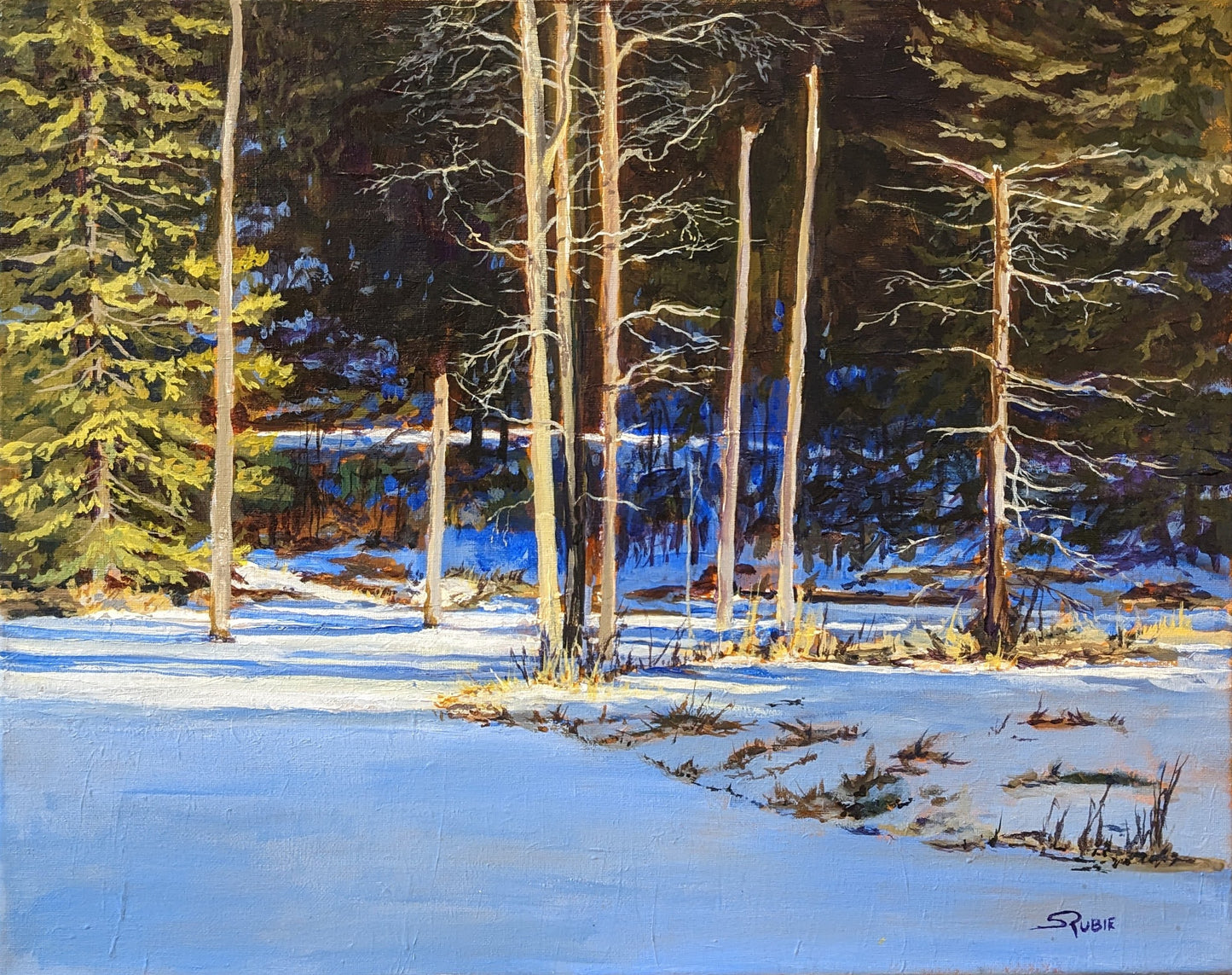 Fallingbrook Pond Sun and Shadows, 16x20" image 0