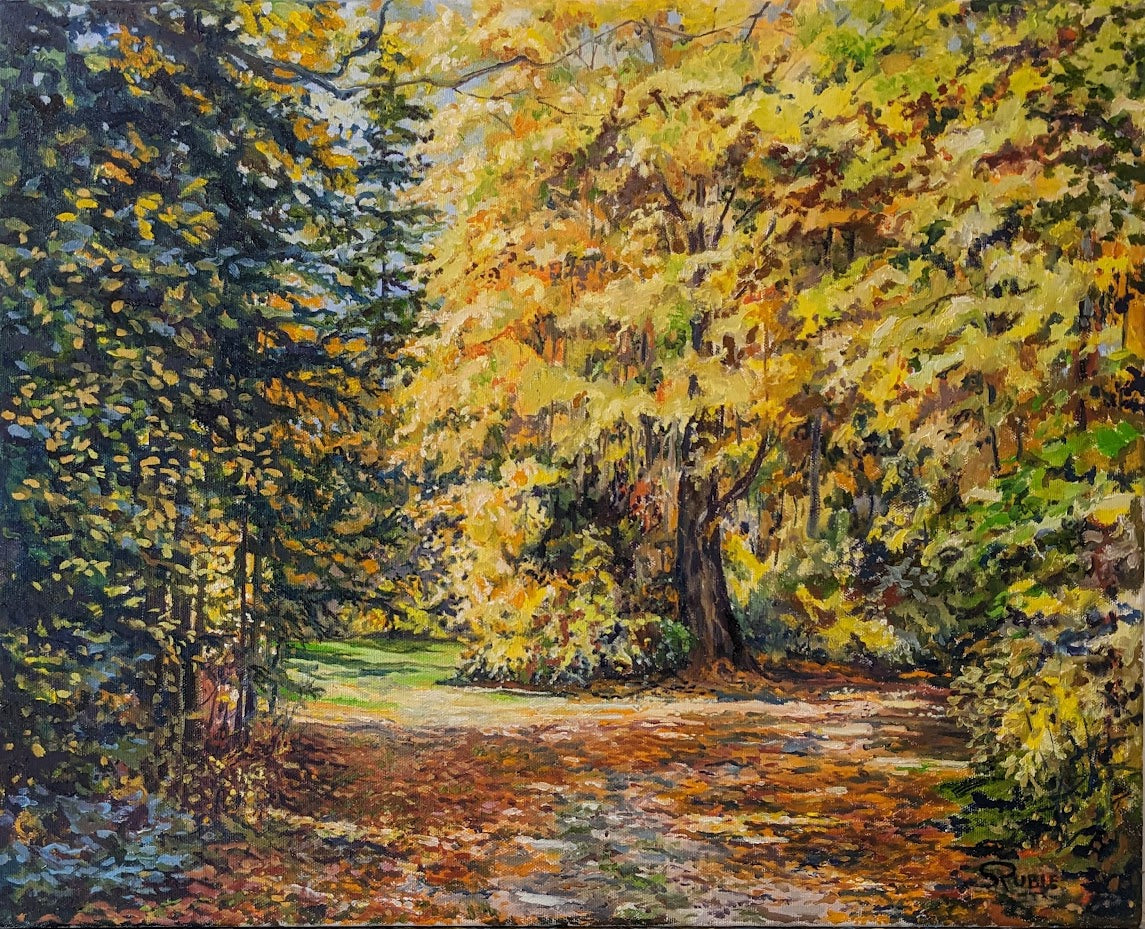 Sun on Autumn Forest Road 16x20", framed image 0