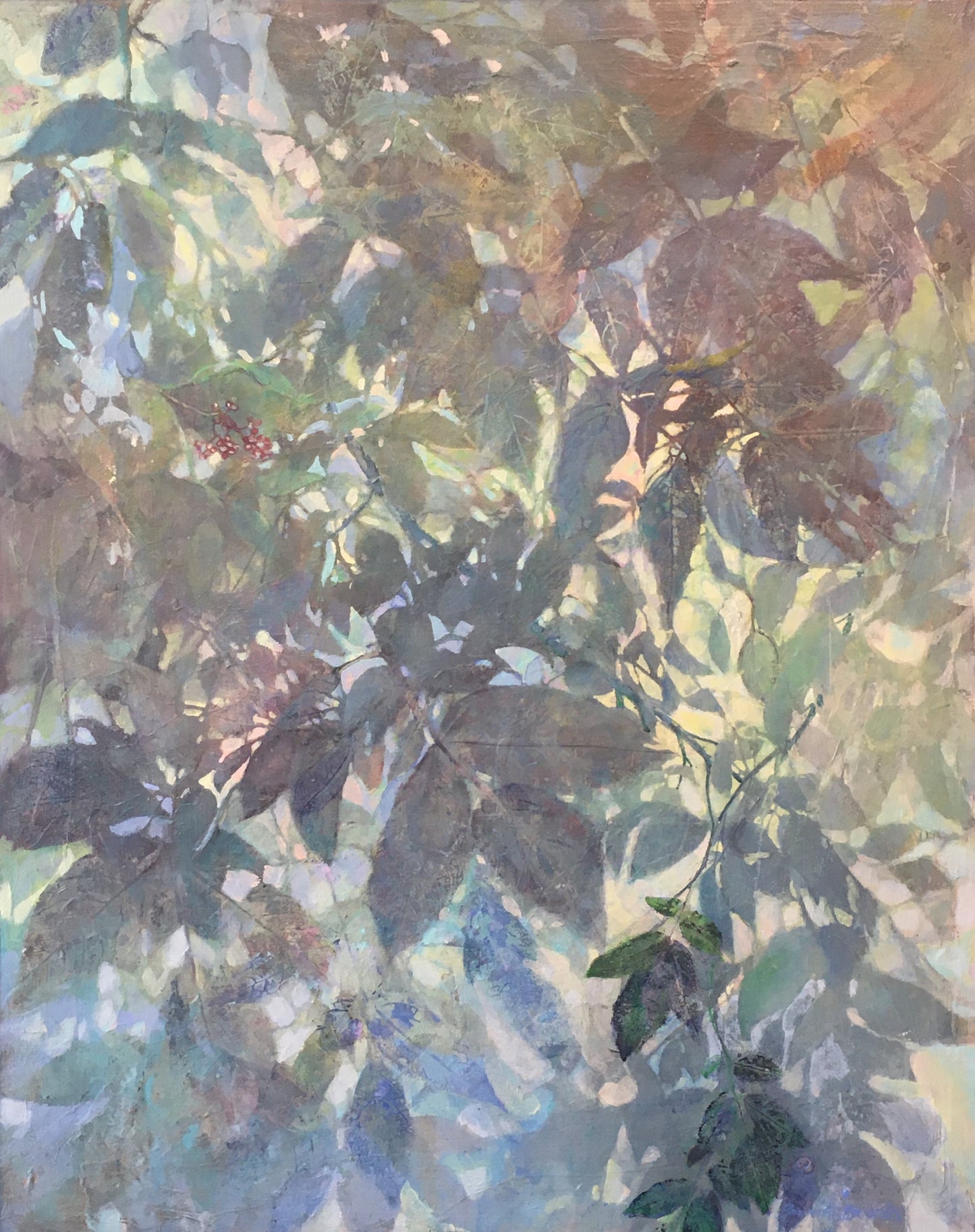 Elderberry Bush, 30H x 24W image 0