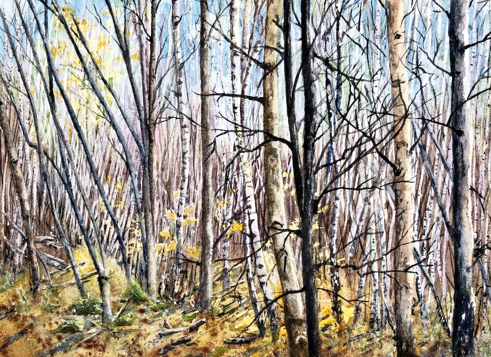 Solitude 8x10" image 0