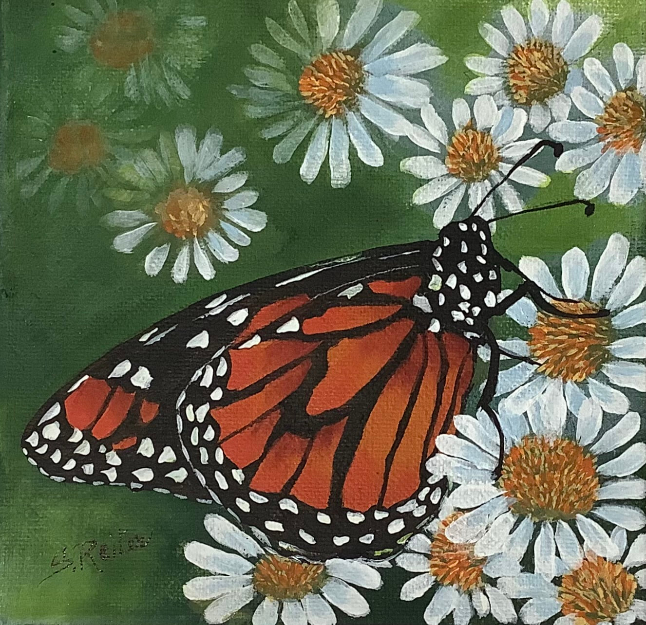 Monarch Butterfly image 0