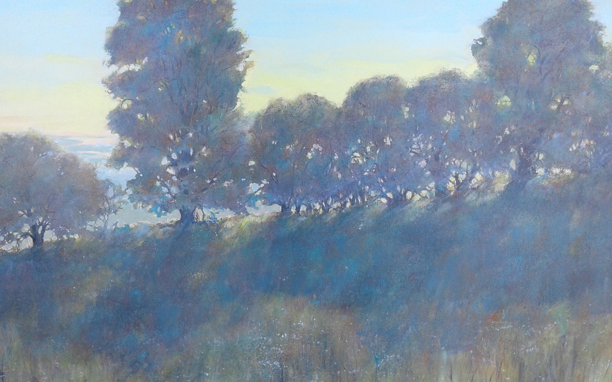 A Field for Cooper, 30H x 48W image 0