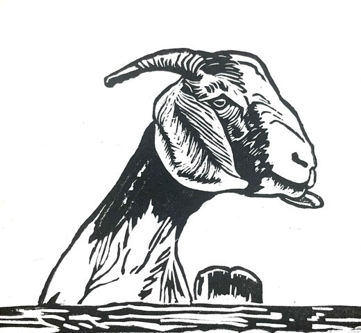 Josephine 6/20, 5x5" image 0