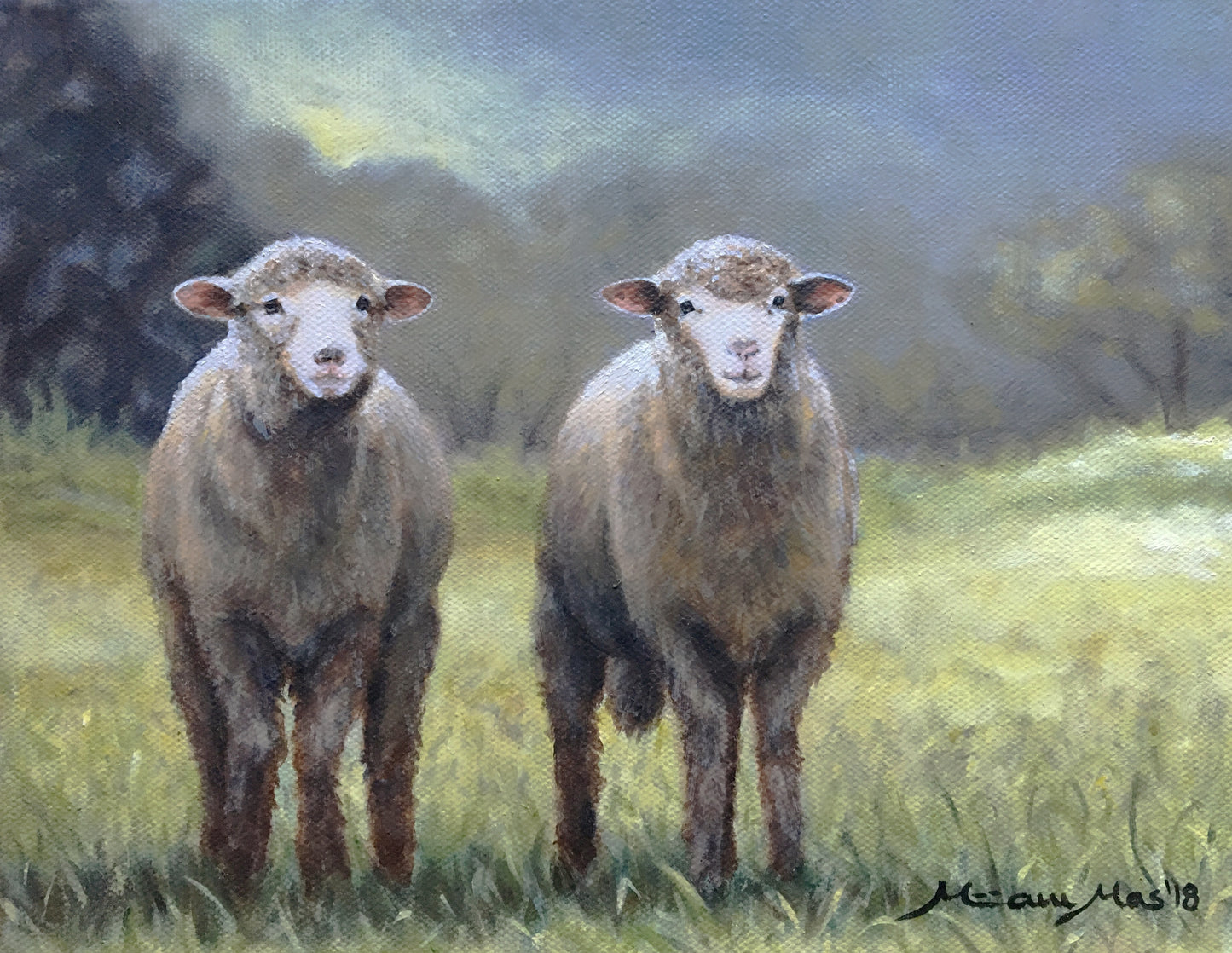Cotswold Sheep image 0