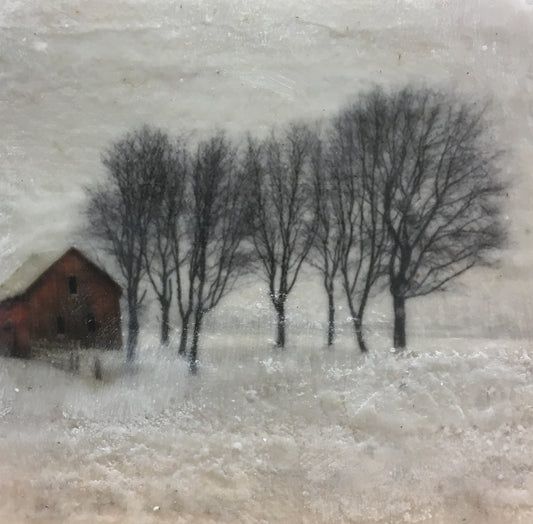 Homestead 1 image 0