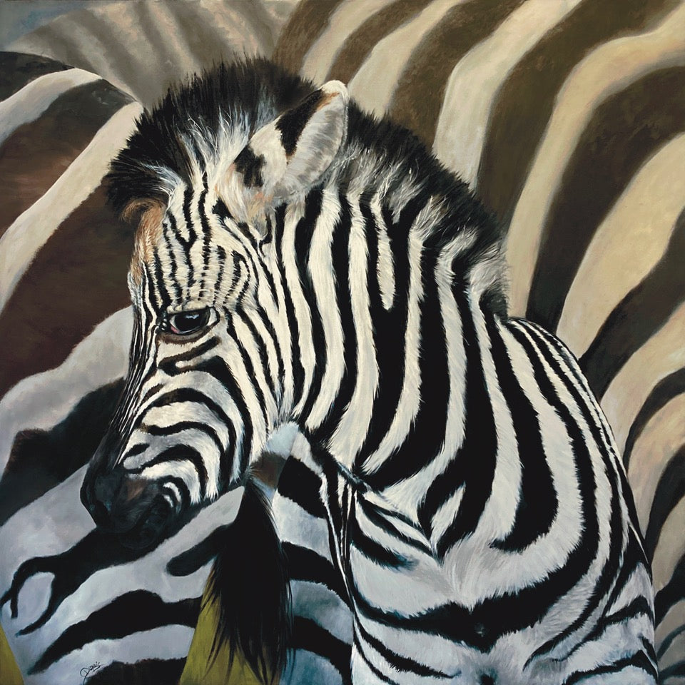 Dazzle 36"x36" image 0