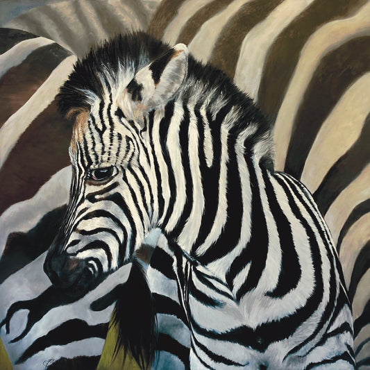 Dazzle 36"x36" image 0