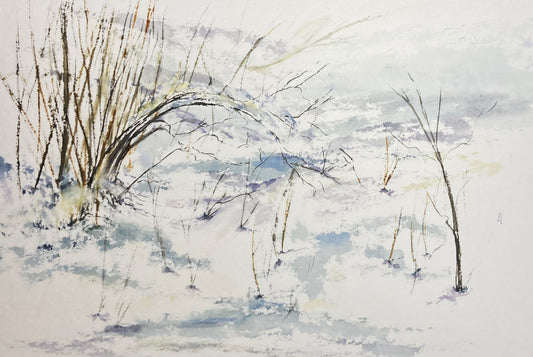Backyard Winter Inspiration 8x6" image 0