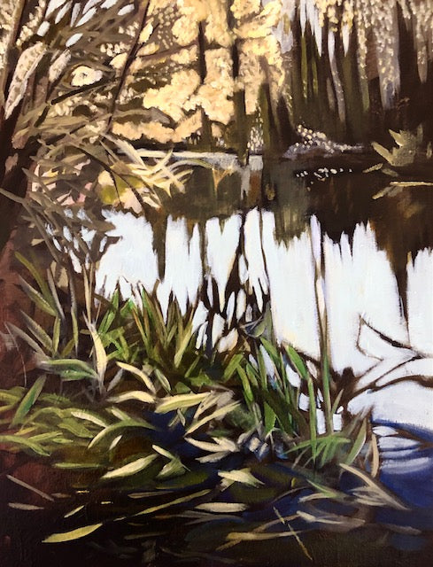 Hidden Spaces, Wetlands 11x14" image 0