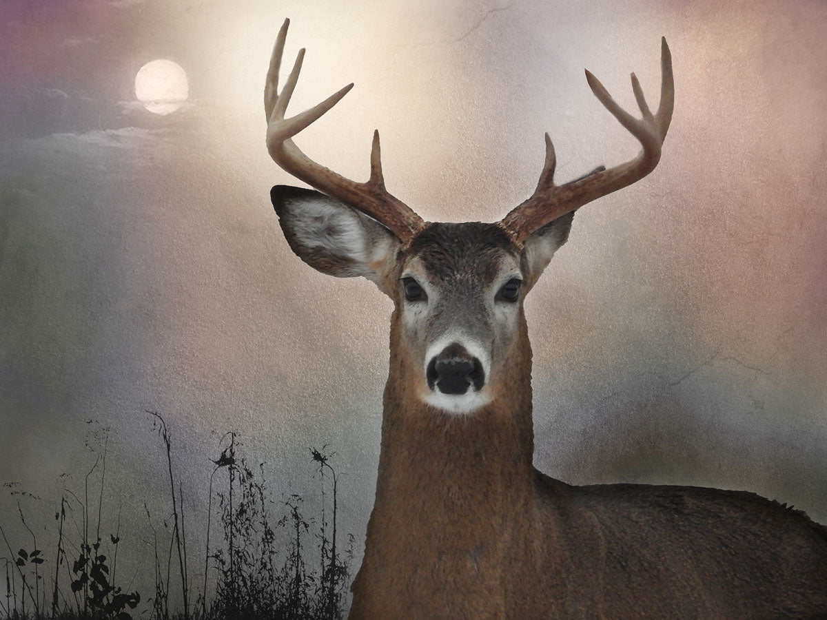 He’s an Eight, Edition #3 of 10 13x10" image 0