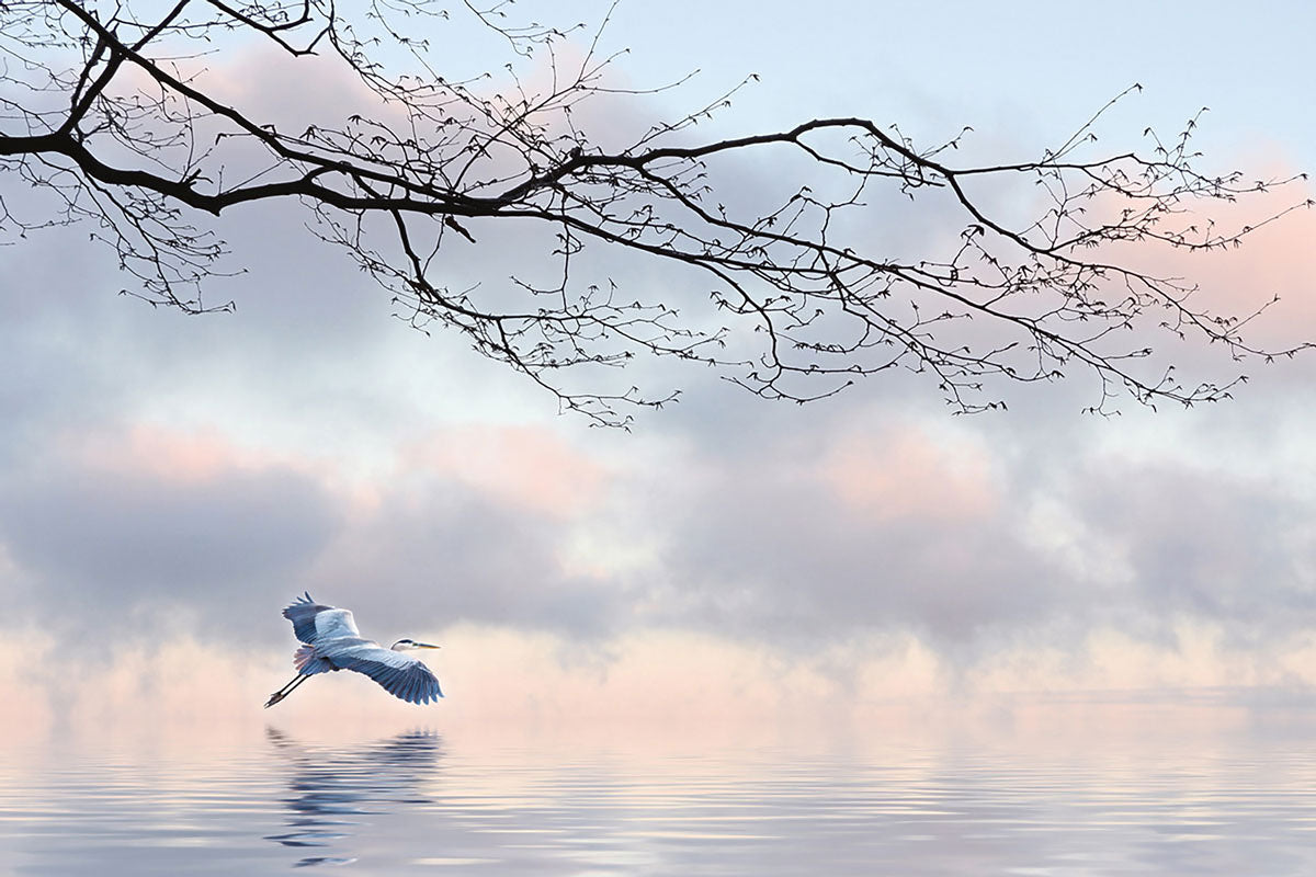 Early Morning (2 of 10), 12x8" image 0