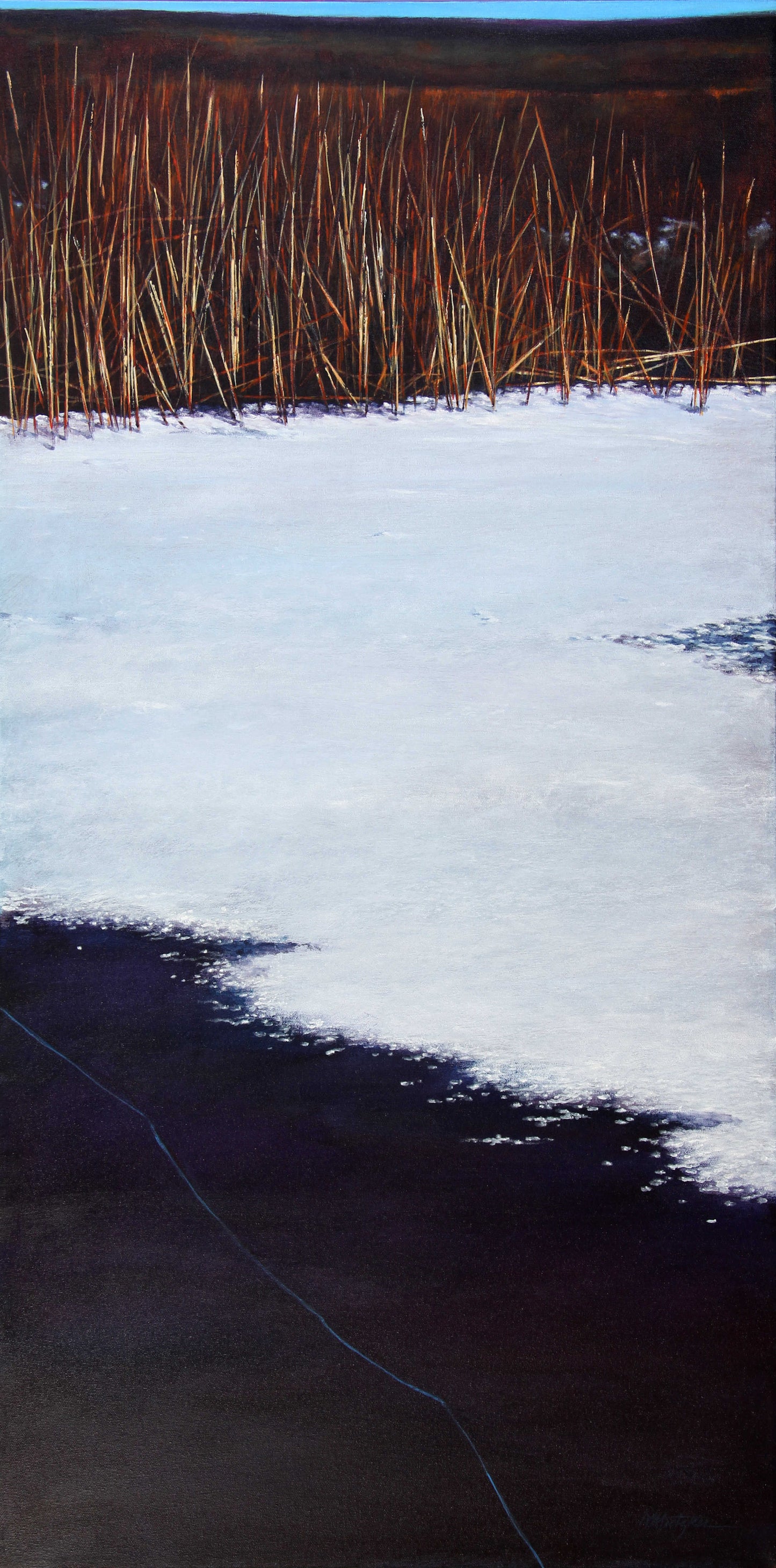 On Thin Ice-  40¨ x 20¨ image 0