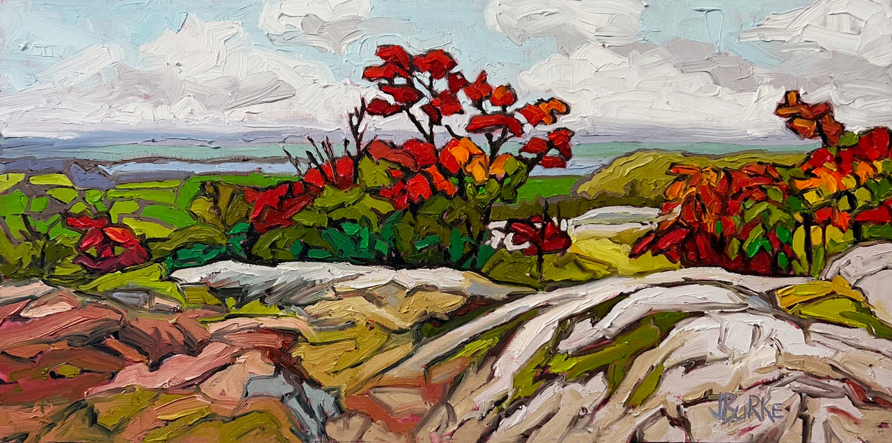 The Lookout 12 x 24" image 0