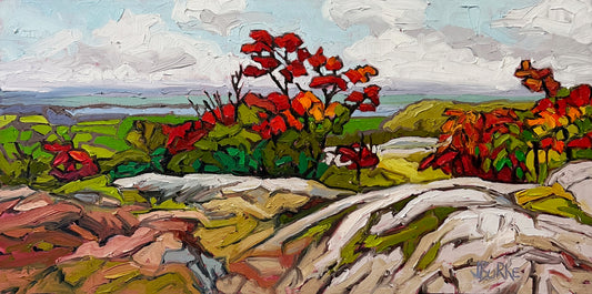 The Lookout 12 x 24" image 0