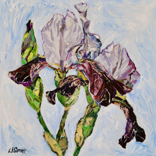 Iris 8x8" image 0