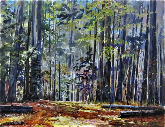 Walk Through Gilies Grove 30H x 40W image 0