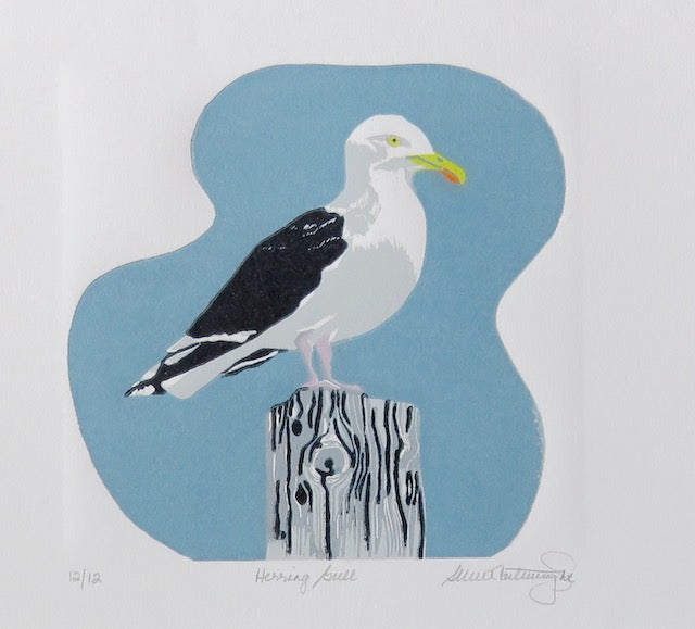Herring Gull 8/12  8x8 image 0
